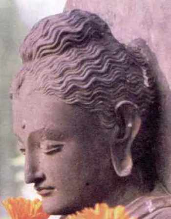 buddha.jpg